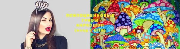 mdpv Верхнеуральск