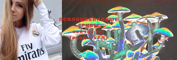 mdpv Володарск