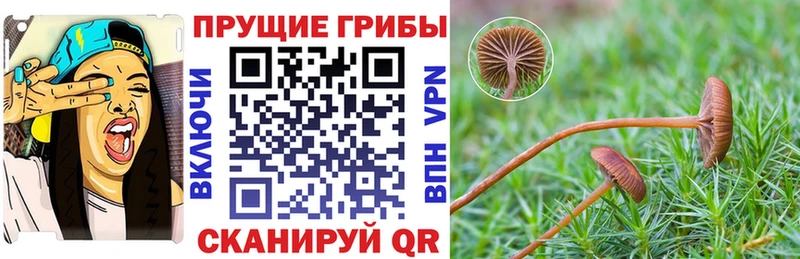 Галлюциногенные грибы мицелий  Кандалакша 